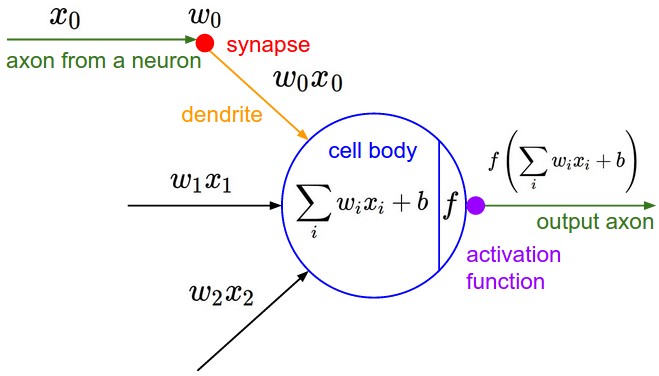 Mathematical model of a neuron, courtesy CS231N course notes